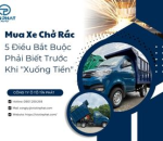 Mua Xe Chở Rác: 5 Điều Bắt Buộc Phải Biết Trước Khi Xuống Tiền